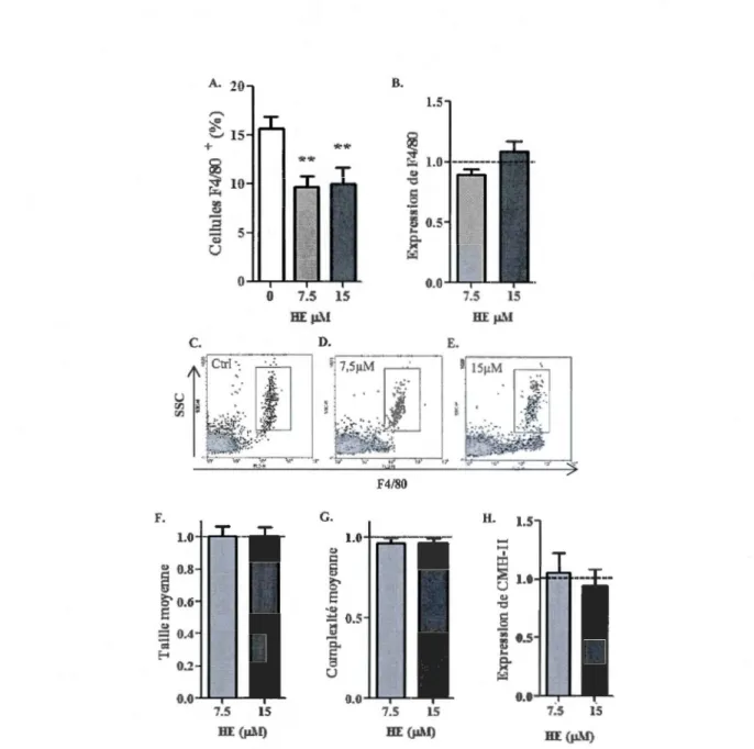 Figure 3.6  Effets  de l' hème  in  vitro  sur les  cell ules  F4/80+ aya nt  la  mor phologie  des  macro phages