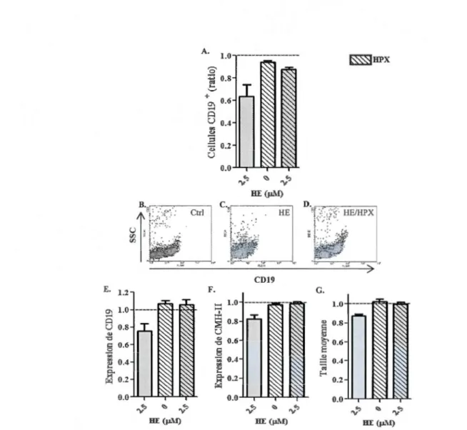 Figure  3.7  Impact  de  l'hémopexine  sur  les  cellules  péritonéales  CD19+  traitées  par l'hème  in  vitro
