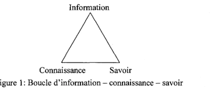 Figure 1: Boucle d'information - connaissance - savoir 
