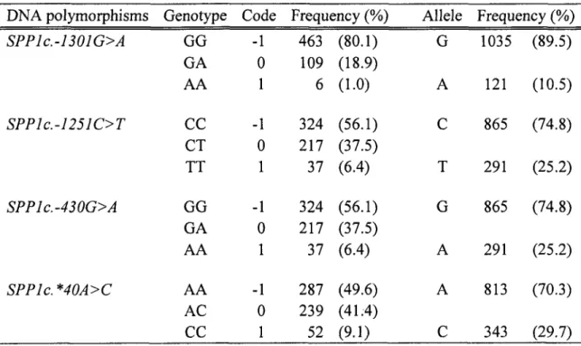 Table  1.  Genotype  and allele  frequencies  of the  SNPs  detected  in  the  bovine  SPPJ 