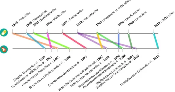 Figure 3. Chronologie de la mise sur le marché de quelques antibiotiques (haut) et l'apparition de la première  résistance à celui-ci (bas)