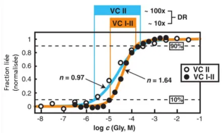 Figure 11. Liaison coopérative des deux aptamères du riborégulateur glycine chez V. cholerae (VC)