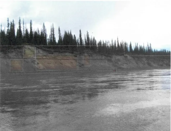 Figure 1 Nappe  de sable surmontée de petites dunes, fleuve Yukon, en  amont de Yukon  Fort