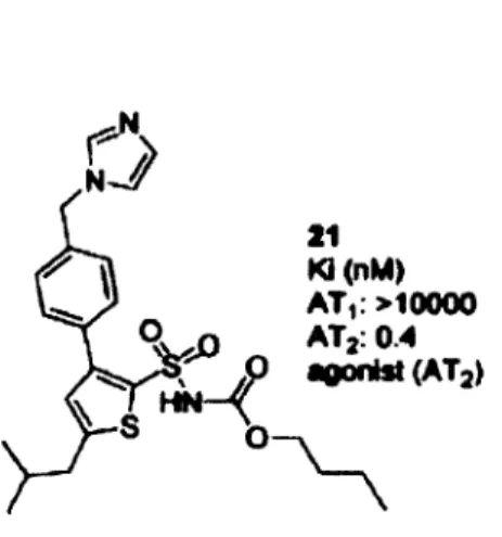 Figure  13:  Structure  de  l'agoniste  non  peptidique  M 24  (C21).  L'agoniste  spécifique  du  R-AT2,  le  M24 aussi  appelé  le  C21,  possède  une très forte  affinité  pour le  R-AT2  (0.4  nM)  mais très  peu  pour  le  R-AT1  (>1000  nM)