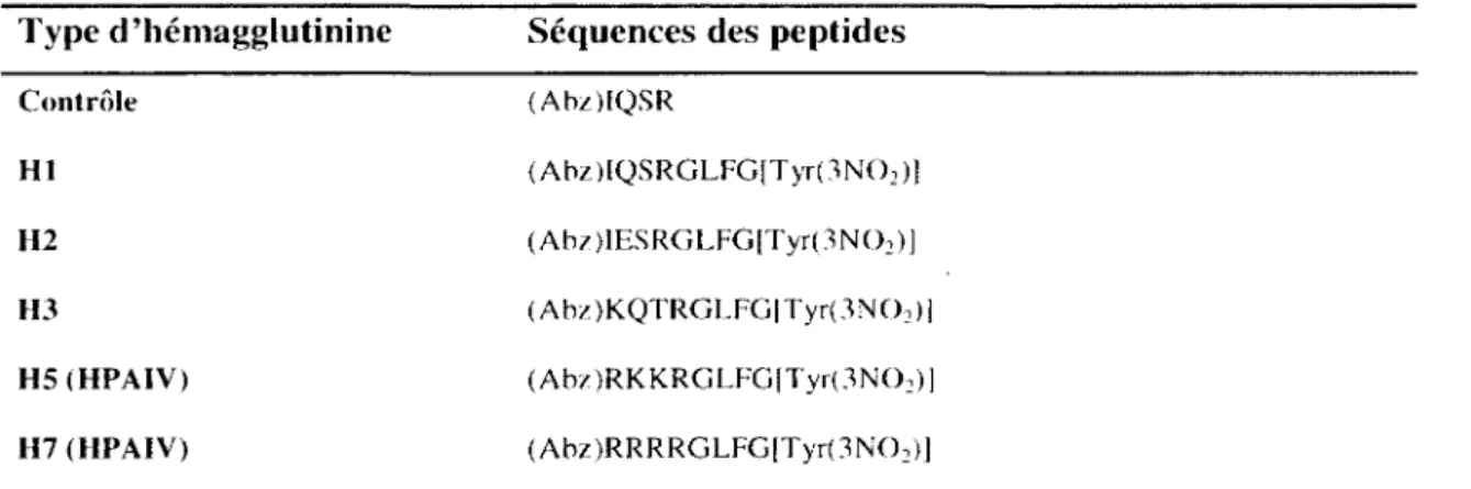 Tableau  3  :  Séquences des différents peptides  utilisés