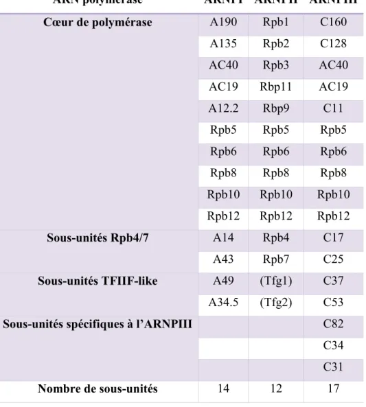 Tableau 2 : Liste des sous-unités des 3 ARN polymérases de S. cerevisiae. 