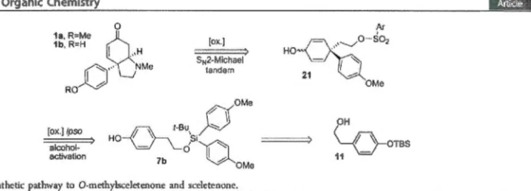 Figure  3.  Retrosynthetic pathway  tu  0-mcthylsccletenone and  sccletcnone. 