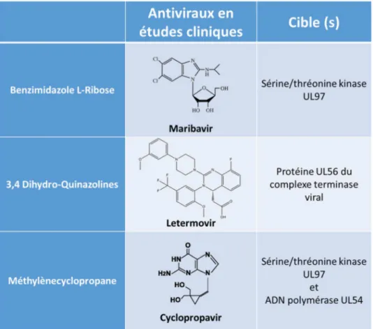 Tableau 2 – Agents antiviraux en études cliniques.  