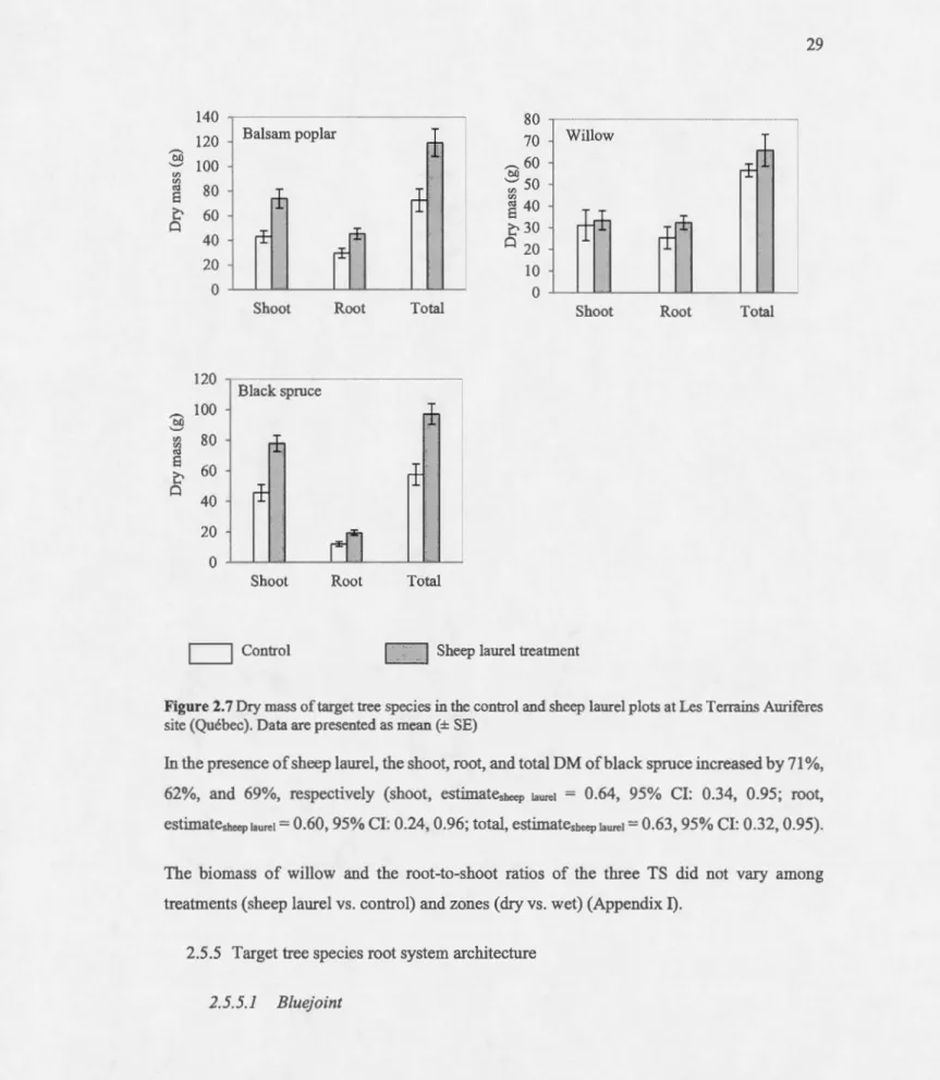 Figure  2.7 Dry mass of target tree species in the control and sheep laurel plots at Les Terrains Aurifères 