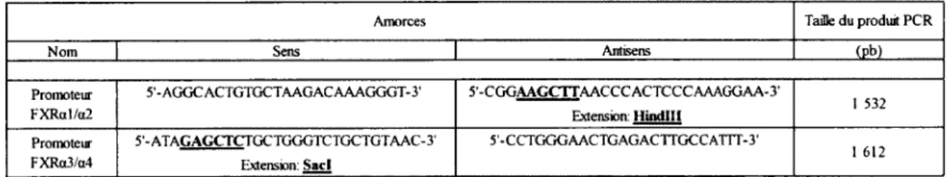 Tableau 6. Amorces utilisées pour les clonages