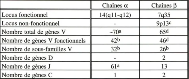 Tableau 1.  Nombre de gènes encodant pour les chaînes  a  et~  de TCR 