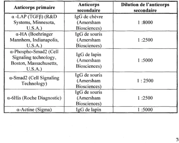 Tableau VI :  Anticorps primaires et leur anticorps secondaire correspondant 