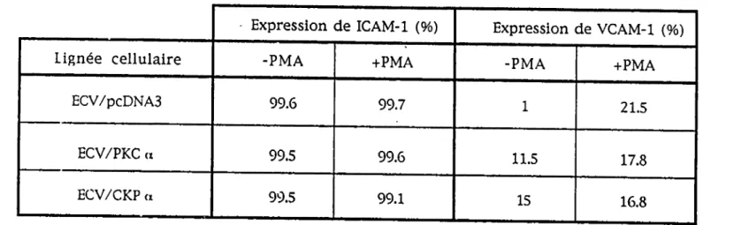 Tableau 3. Expression des molécules d'adhésion ICAM-1 et VCAM-1 chez les transfectants ECV/PKC a et ECV/CKP (i