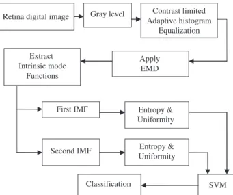 Figure 1 Block diagram of the proposed circinate exudates detec- detec-tion system.