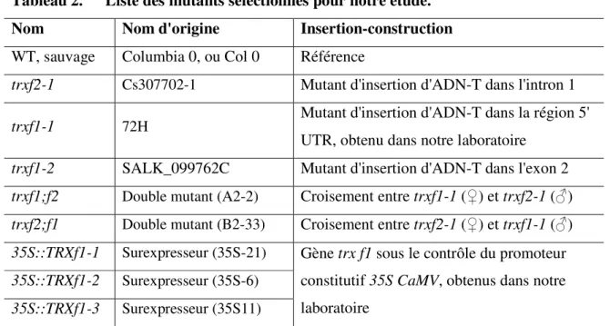 Tableau 2.  Liste des mutants sélectionnés pour notre étude.  Nom  Nom d'origine  Insertion-construction  WT, sauvage  Columbia 0, ou Col 0 Référence 