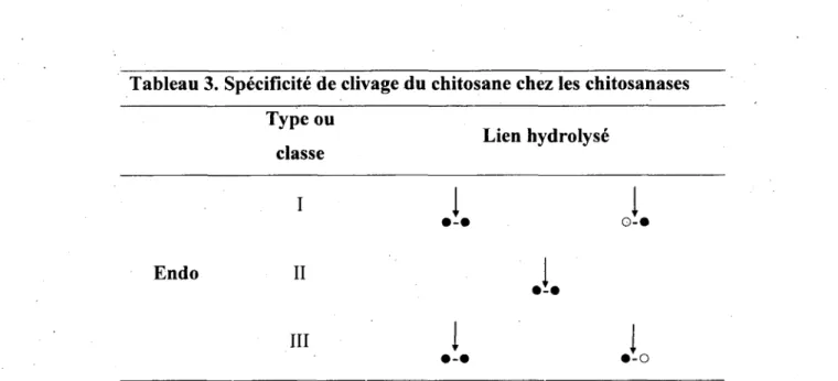 Tableau 3. Specifieite de elivage du chitosane chez les chitosanases  Type ou 