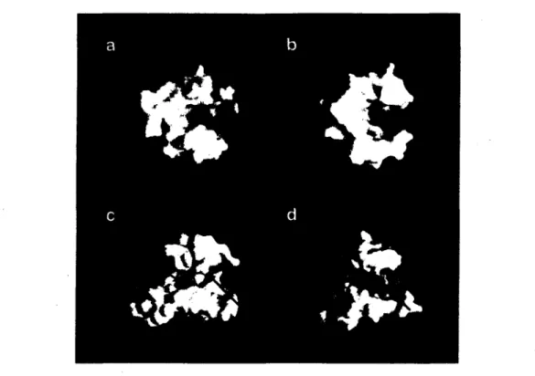 Figure 17. Comparaison des surfaces moleculaires des sillons catalytique des  chitosanases de Bacillus circulans MH-K1 (a et c) et de Streptomyces sp