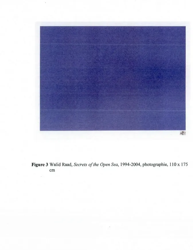 Figure 3  Walid Raad, Secrets of the Open Sea,  1994-2004 , photographie,  Il 0 x  175  cm 