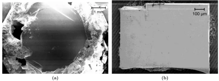 Figure  1.  Schematic  representation  of  the  crystal  structure  of  tetragonal  HgBa 2 CuO 4+δ   (left)  and  scanning  electron  microscopy  (SEM)  view  of  a  single  crystal  of  HgBa 2 CuO 4+δ  (right)