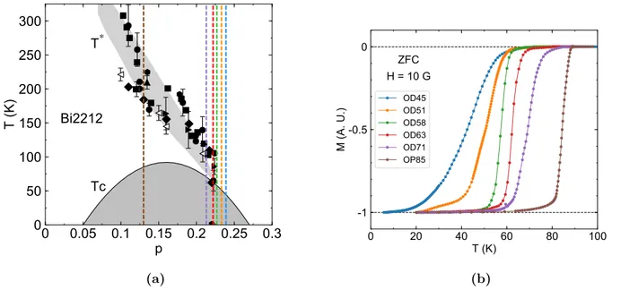Figure 4.11 (a) Diagramme de phases de Bi2212 (même figure que Fig.4.9b). Les lignes verticales en pointillé correspondent aux différents dopages dont la  caractérisa-tion magnétique est représentée dans le panneau (b)