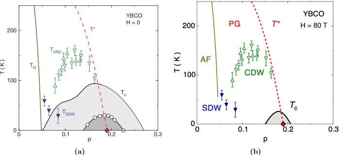 Figure 1.10 (a) Diagramme de phases du composé YBa 2 Cu 3 O 6`δ à champ nul. Le dôme T c gris foncé correspond au dôme supraconducteur obtenu pour une  substitu-tion de 6% des atomes de Cu par des atomes de Zn et le dôme gris clair au dôme sans substitutio