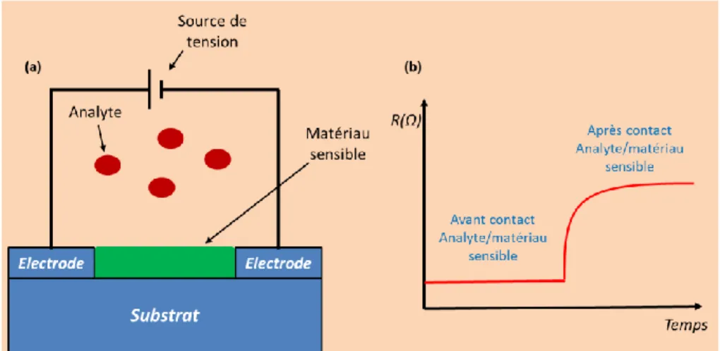 Figure 2-9: (a) Illustration de la structure d’un capteur de type « chemiresistor » en présence des analytes ; (b)  Exemple de la variation de la résistance suite au contact entre les analytes et le matériau sensible