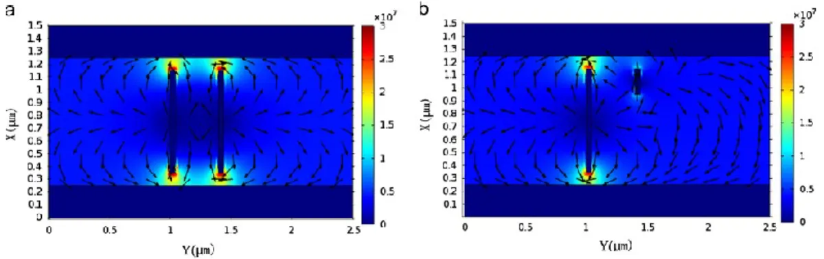 Figure 2-20: Simulation de la distribution du champ électrique autour de deux NTCs (a) de mêmes longueurs et (b)  de longueurs différentes  42 