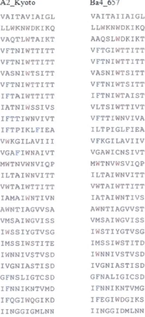 Figure  2.1:  Alignements des  deux TMP  de A2..Kyoto  et  Ba4_657 