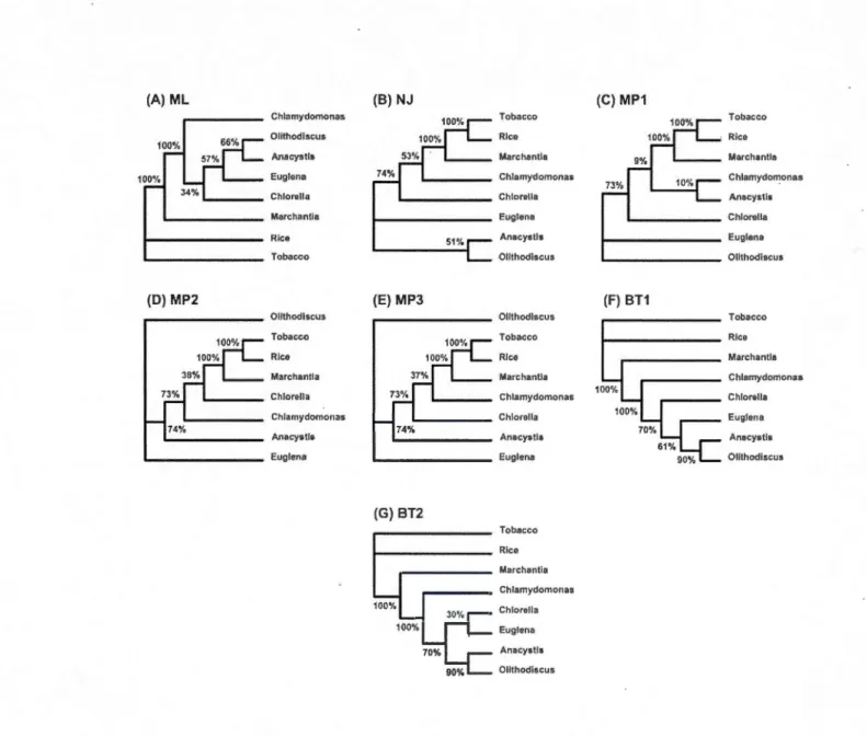 Figure 1.6 The set of seven gene trees (A-G) inferred for the chloroplast dataset. The abbreviations used  in  Figure  1.4  also apply here