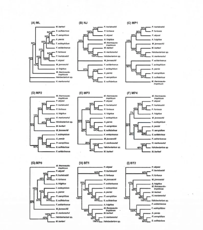Figure  1.8  The  set of nine  gene  trees  (A-I)  inferred  for  the  Archaebacteria  dataset