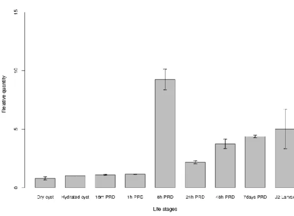 Figure S1. Expression of neprilysin gene nep-1 by RT-PCR 