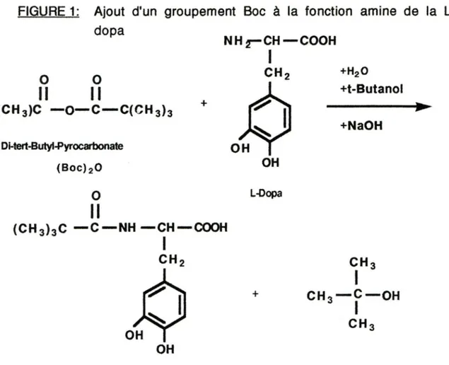 FIGURE 1:  Ajout  d'un  groupement  Boc  à  la  fonction  amine  de  la  L- L-dopa  01-tert-Butyl.Pyrocarbonate  (Boc)iO  Il 0  +  NHrCH-COOH 1 OH L-Oopa  (CH 3 )aC  -C-NH -CH-COOH  CH1  2  +  OH  Réactif:  L-dopa  (Mr:  197.2),  15g  =  0.076  mole  +H 2 
