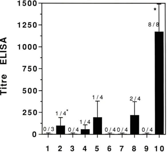 FIGURE  13:  Titre  ELISA  correspondant  aux  anticorps  de  type  lgG  anti-angiotensine  Il  évalué  après  le  2e  rappel  d'immunisation 