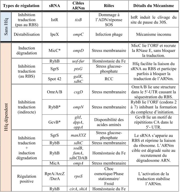 Tableau 1: Synthèse des différents mécanismes de régulation par les sRNA  (Balasubramanian et Vanderpool, 2013; Guillier et al., 2006; Jousselin et al., 2009)  