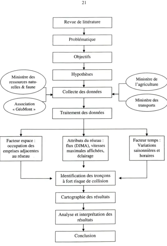 Figure 9  :  organigramme méthodologique