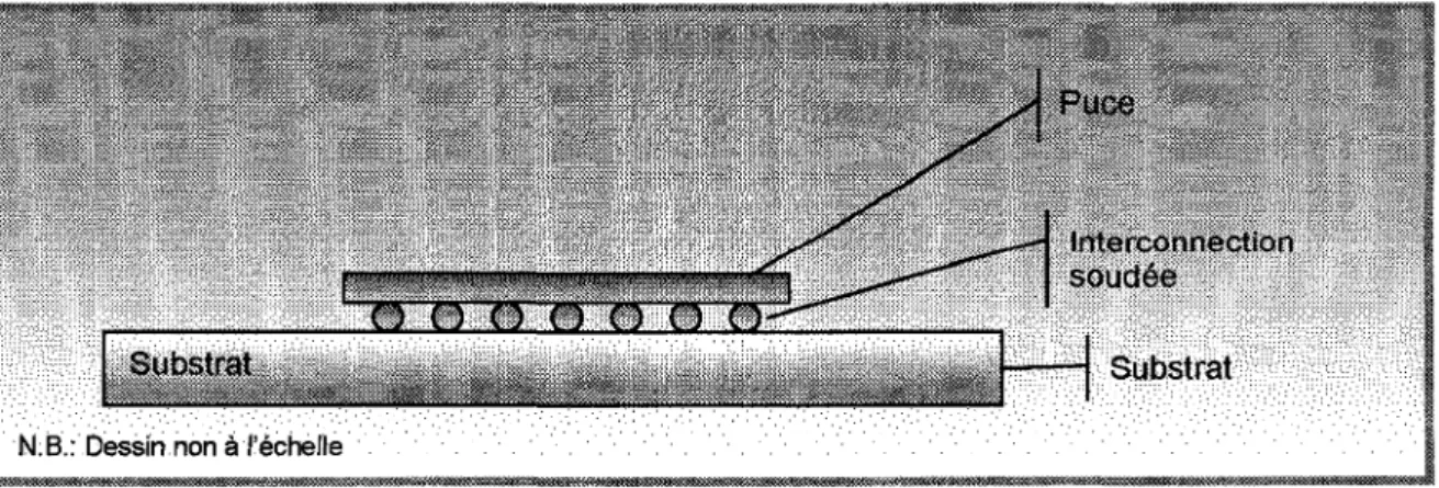 Figure 1-5 : Vue en coupe d'un module avec puce inversee 