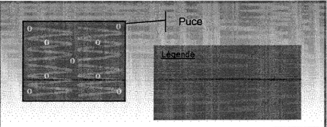 Figure 2-3 : Vue en coupe de la surface d'une puce thermique et  de ses composants internes 