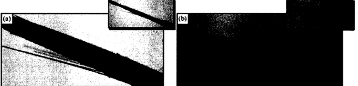 Figure 2.6  Modes de rupture d’une barre de PRFV suite à un (a) essai de traction et (b) un  essai de cisaillement (laboratoire du cours GCI-717  [2008])