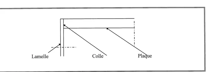 Figure 2. 12 : Appui simple realise par collage de lamelle et les bouts de la plaque