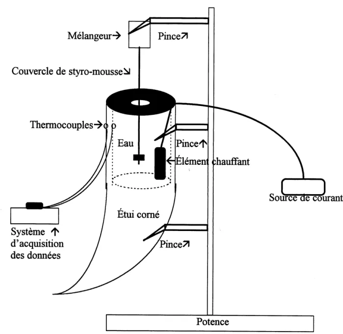 Figure 2.3 Representation schematique du montage utilise pour mesurer Ie coefficient de transfert de chaleur par conductivite de la keratme des etuis comes (kk).