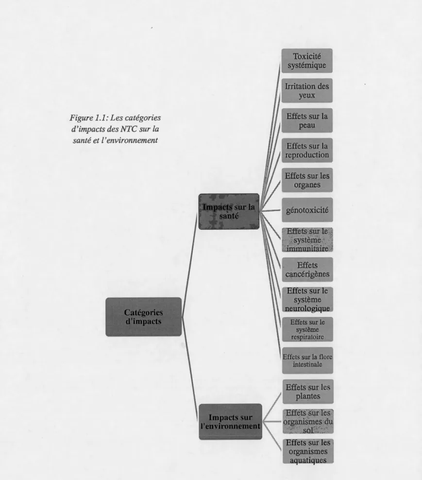 Figure 1.1: Les catégories  d'impacts des NTC sur la 