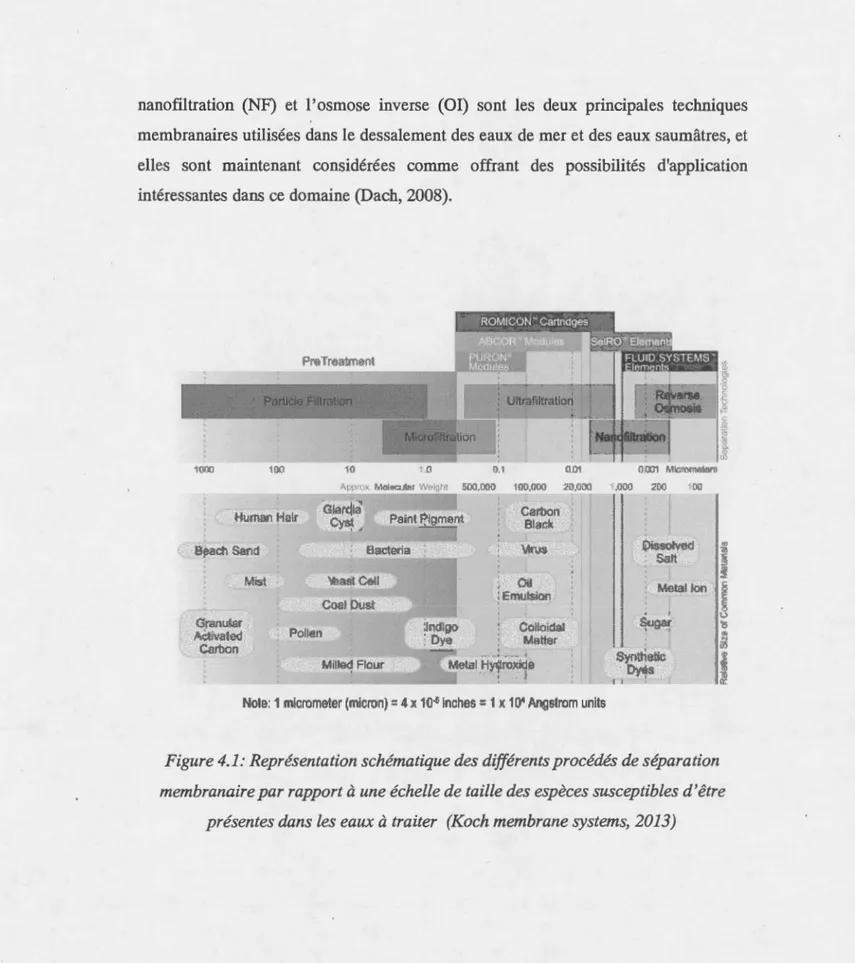 Figure 4.1: Représentation schématique des différents procédés de séparation  membranaire par rapport  à  une échelle de taille des  espèces susceptibles d'être 