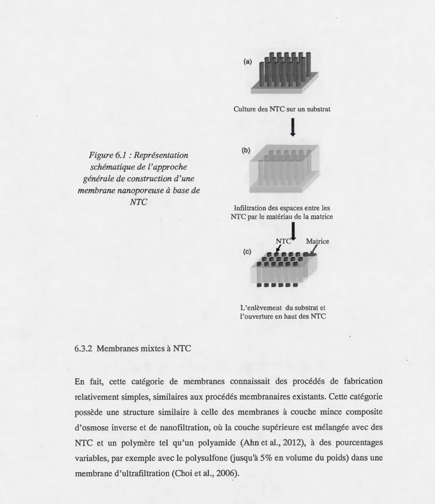 Figure 6.1  :Représentation  schématique de l 'approche  générale de construction d 'une  membrane nanoporeuse  à  base de 