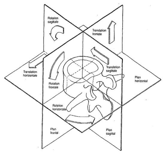 Figure 2 : Pians anatomiques (Bogduk, 2005). (Le plan horizontal est aussi appelé plan transverse