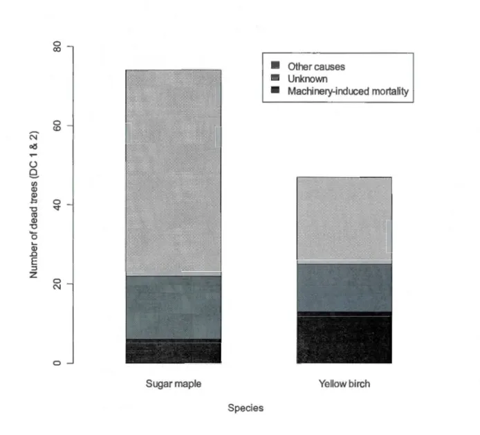 Figure  1.4  Number  of dead  trees  (decay  classes  1  and  2)  per  mortality  cause  for sugar maple and  yellow birch