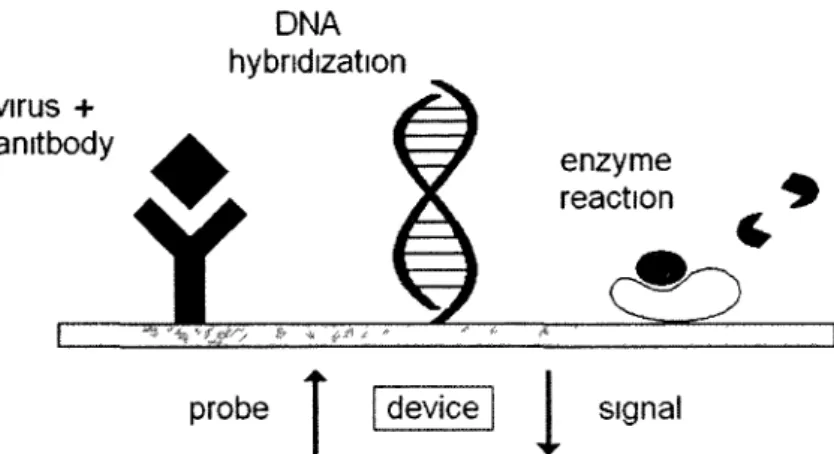 Figure 1.1 is a schematic diagram illustrating the fundamental biosensing concept. Shown are  three common examples based on differentiated means of biochemical recognition