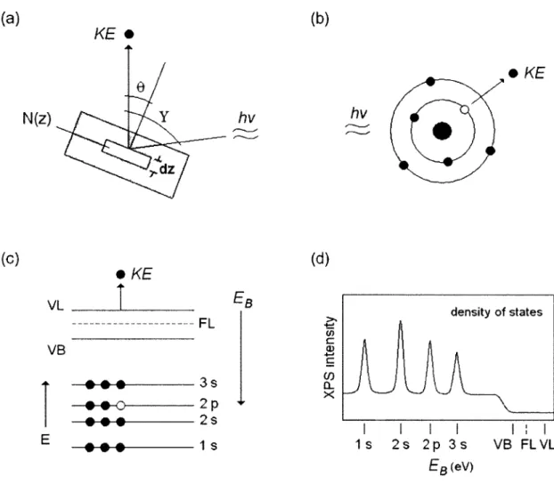 Figure 2.1. Pictorial descriptions ol basic Xl'S theory, (a) Experimental orientations specific to  Equation 2.1