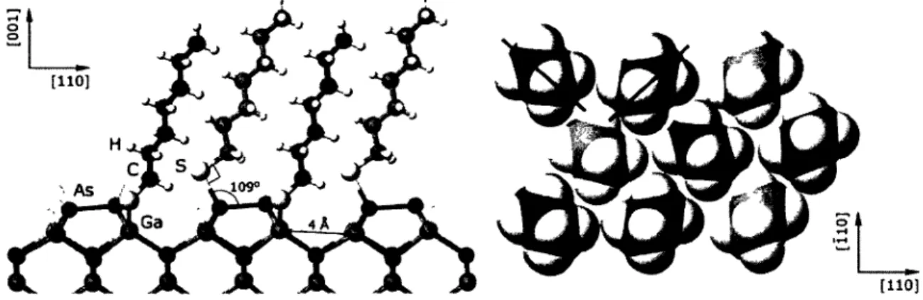Figure 2.6. SAM matched GaAs(OOl) reconstruction according to molecular simulations. Left: 