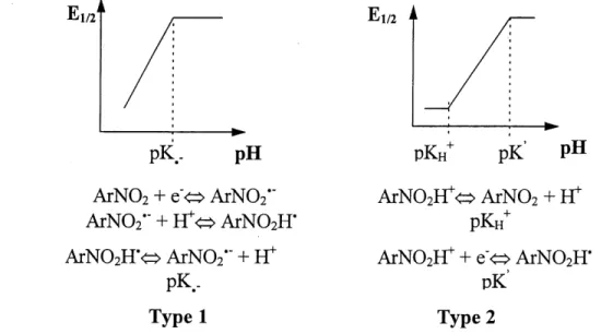 Figure 5 Schema des differentes variations du potentiel de demi-vague en fonction du pH d'apres les travaux de Zuman (54).