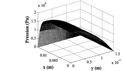 figure 2.3: Profil initial de la pression dans le fluide newtonien a l'interieur d'un quartier du cordon 